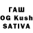 Галлюциногенные грибы Cubensis Ksu threeOaks