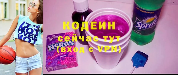 соль ск Бородино