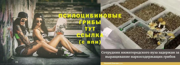 соль ск Бородино