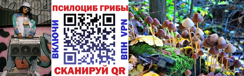 kraken зеркало  Уссурийск  Псилоцибиновые грибы Cubensis 